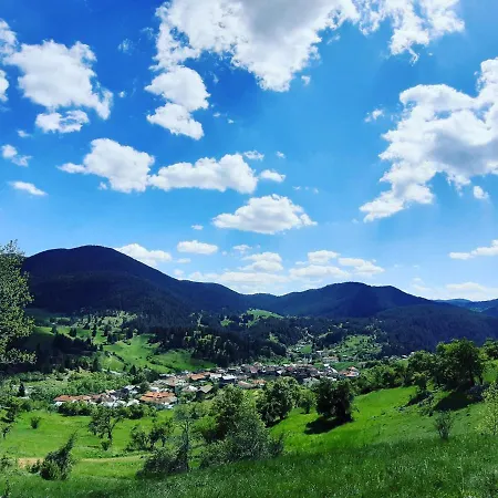 게스트하우스 романс 2*