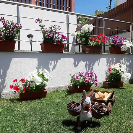 Guest house романс 2*