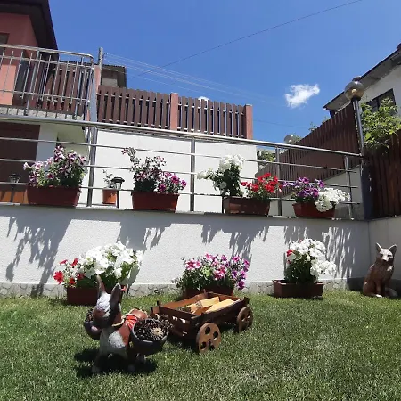 Guest house романс