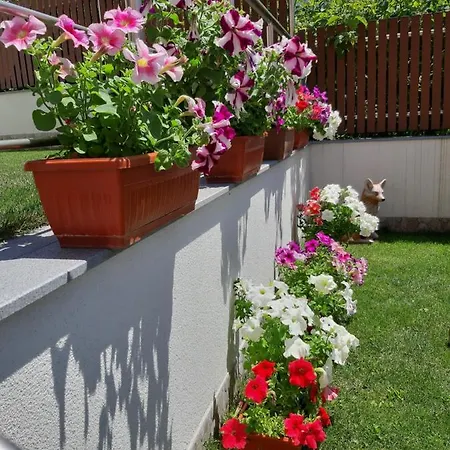 Guest house романс 2*