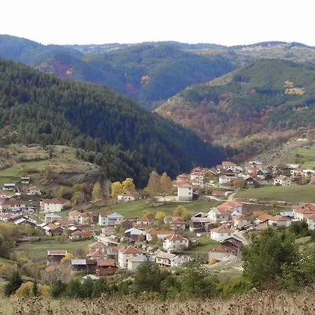 Guest house романс Yagodina